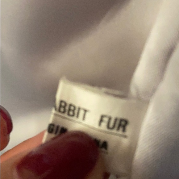 Beautiful Rabbit Fur - Picture 3 of 3